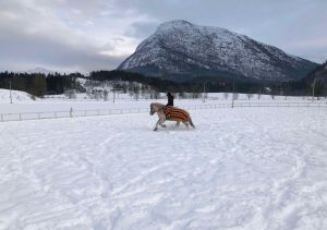 snø
